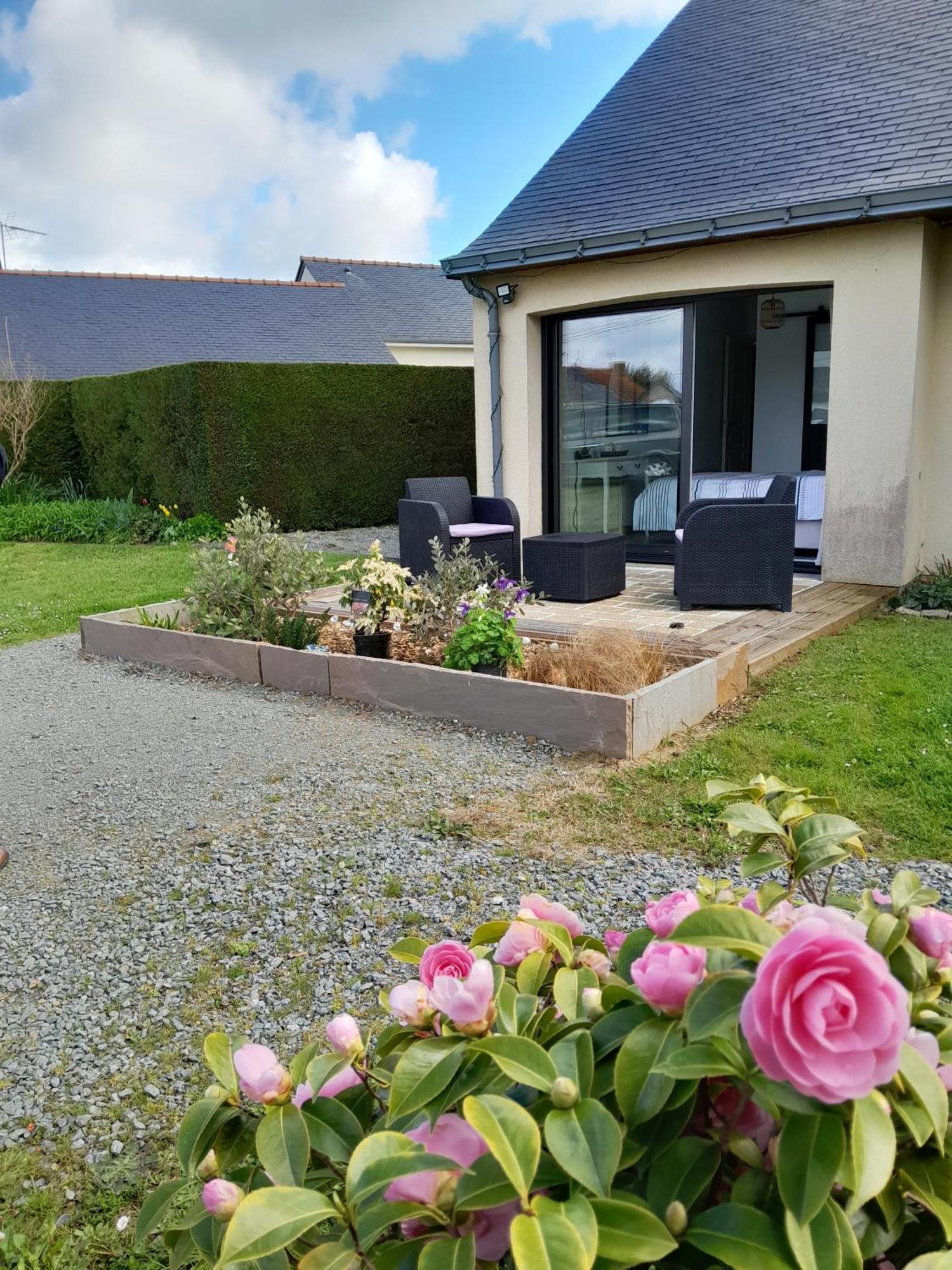Chez Maryline Bed and Breakfast Chalonnes-sur-Loire Eksteriør billede